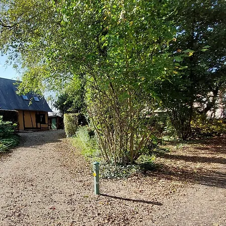 1 Bedroom In Apartment *